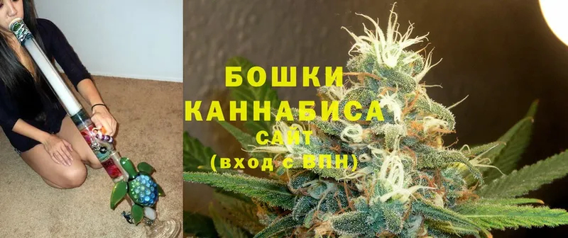 Конопля индика  Буй 